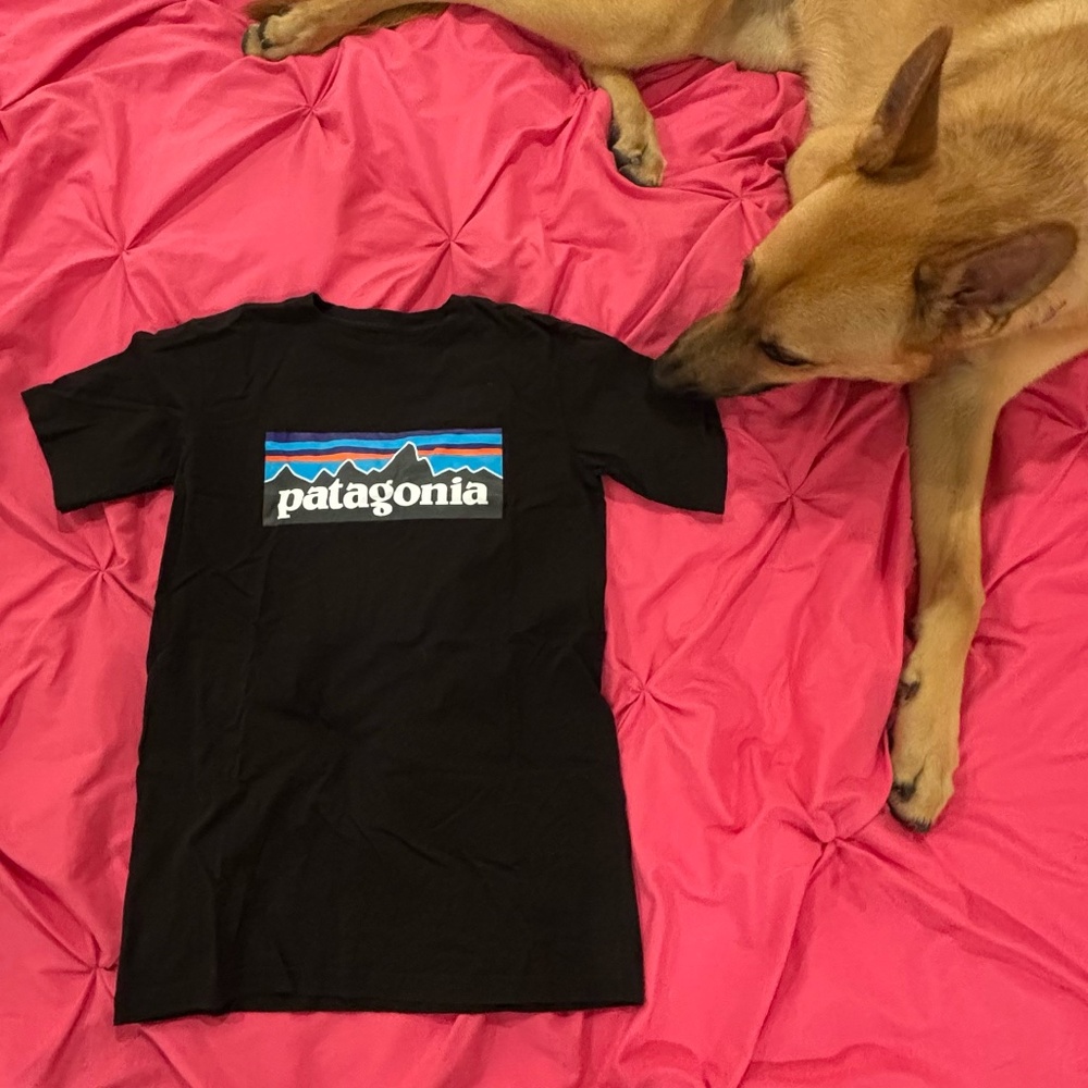 Patagonia Graphic Tee T-Shirt